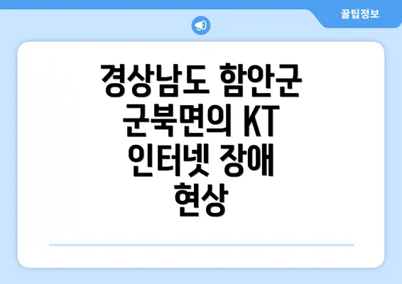 경상남도 함안군 군북면의 KT 인터넷 장애 현상