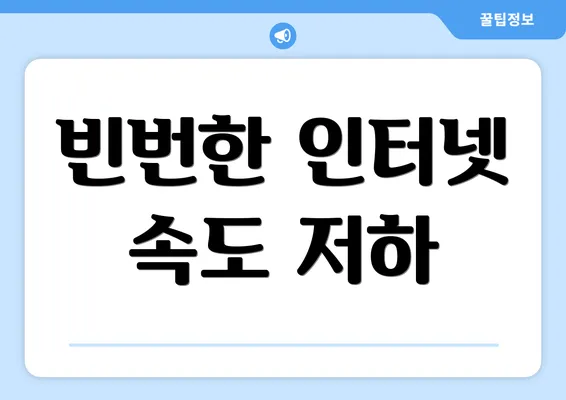 빈번한 인터넷 속도 저하