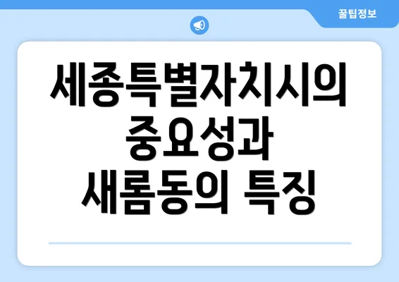 세종특별자치시의 중요성과 새롬동의 특징