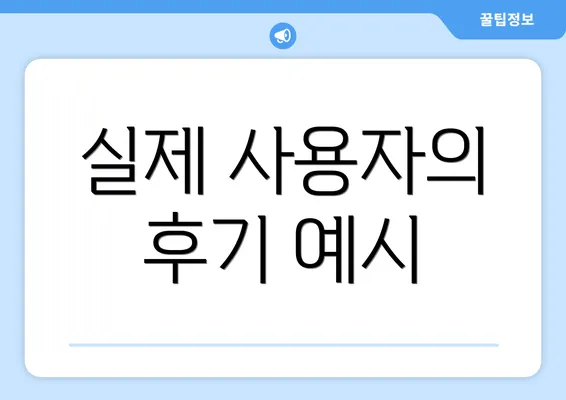 실제 사용자의 후기 예시