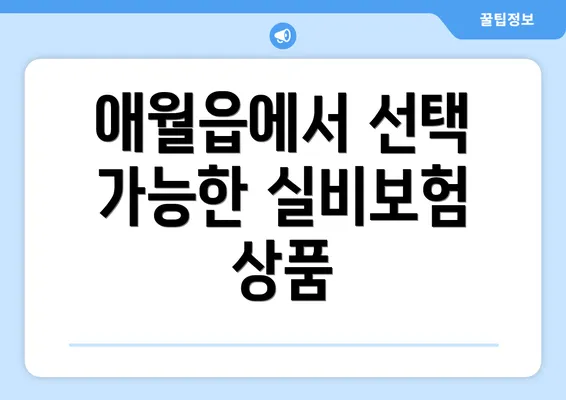 애월읍에서 선택 가능한 실비보험 상품