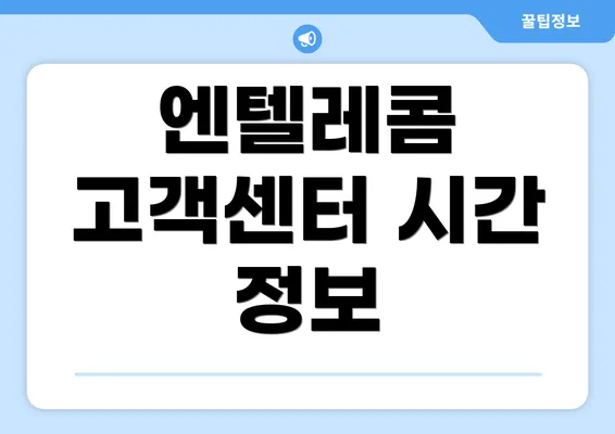 엔텔레콤 고객센터 시간 정보