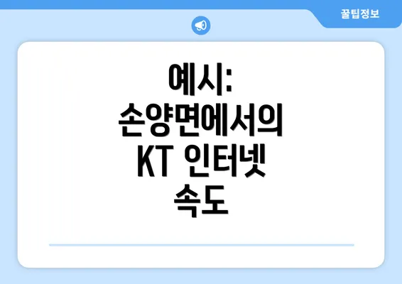 예시: 손양면에서의 KT 인터넷 속도