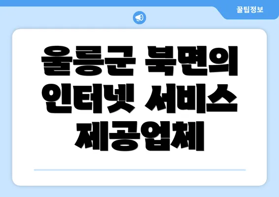 울릉군 북면의 인터넷 서비스 제공업체