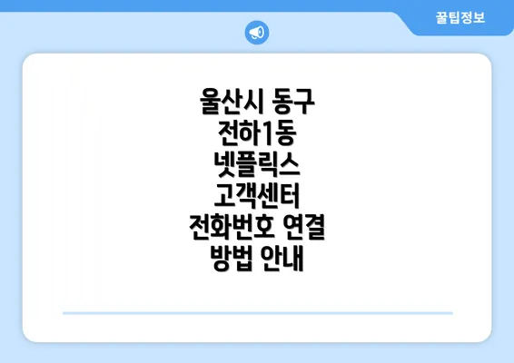 울산시 동구 전하1동 넷플릭스 고객센터 전화번호 연결 방법 안내