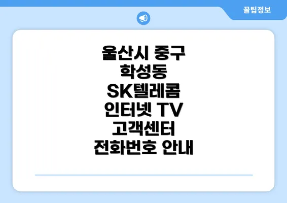 울산시 중구 학성동 SK텔레콤 인터넷 TV 고객센터 전화번호 안내