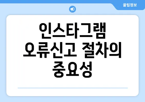 인스타그램 오류신고 절차의 중요성