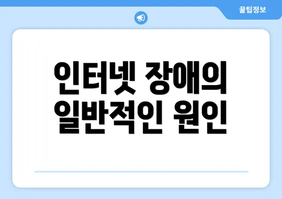 인터넷 장애의 일반적인 원인