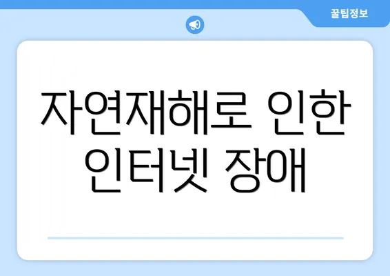 자연재해로 인한 인터넷 장애