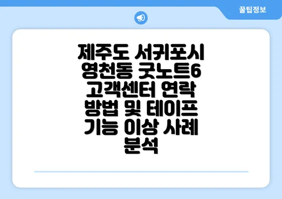 제주도 서귀포시 영천동 굿노트6 고객센터 연락 방법 및 테이프 기능 이상 사례 분석