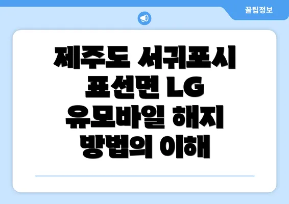 제주도 서귀포시 표선면 LG 유모바일 해지 방법의 이해