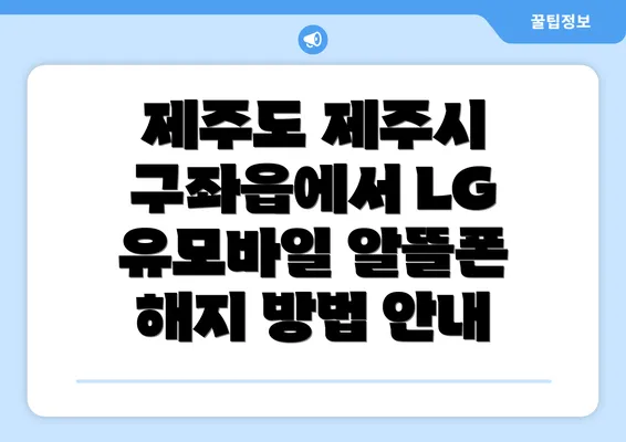 제주도 제주시 구좌읍에서 LG 유모바일 알뜰폰 해지 방법 안내