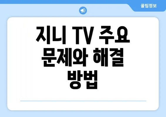 지니 TV 주요 문제와 해결 방법