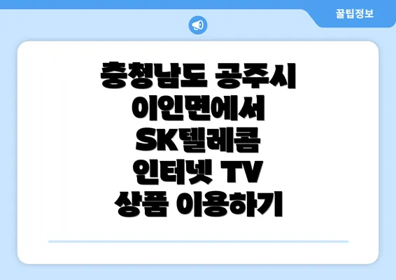 충청남도 공주시 이인면에서 SK텔레콤 인터넷 TV 상품 이용하기