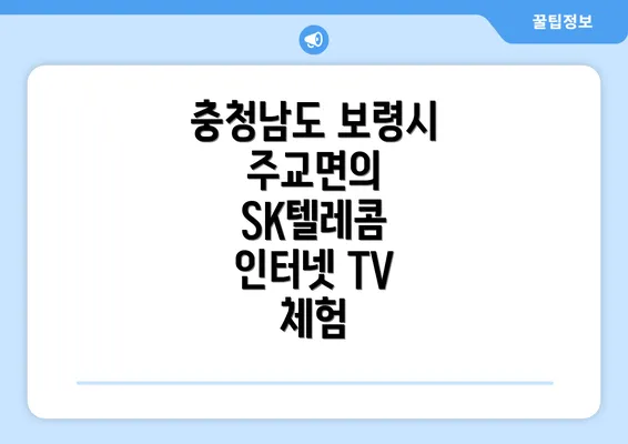 충청남도 보령시 주교면의 SK텔레콤 인터넷 TV 체험