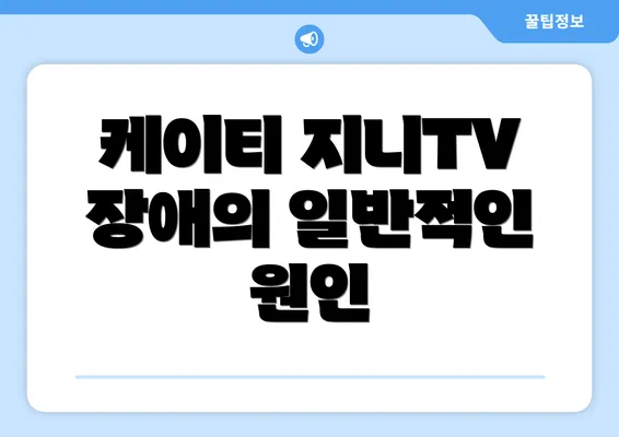 케이티 지니TV 장애의 일반적인 원인