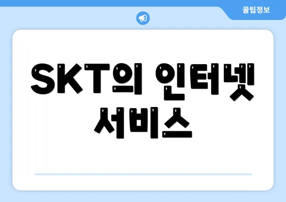 SKT의 인터넷 서비스
