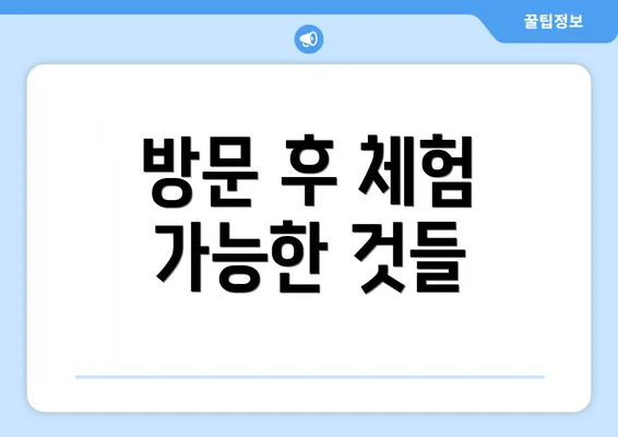 방문 후 체험 가능한 것들