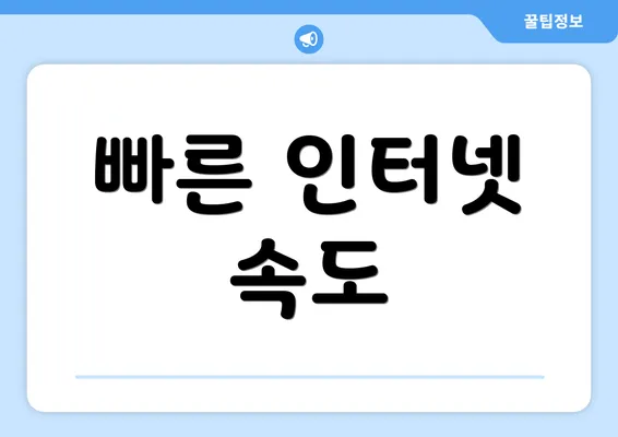 빠른 인터넷 속도