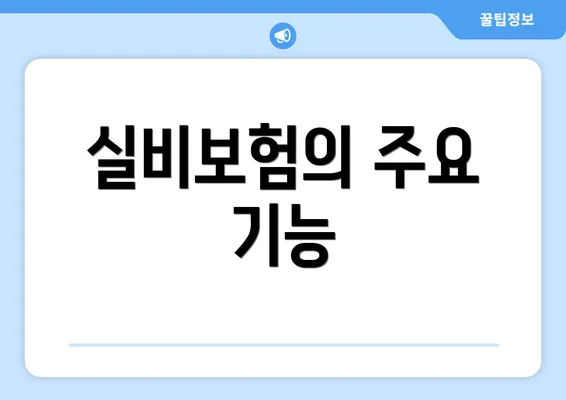 실비보험의 주요 기능