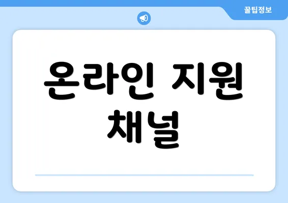 온라인 지원 채널