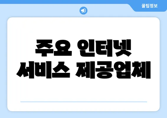 주요 인터넷 서비스 제공업체