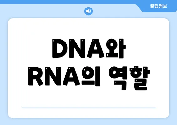 DNA와 RNA의 역할
