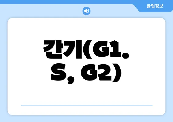 간기(G1. S, G2)
