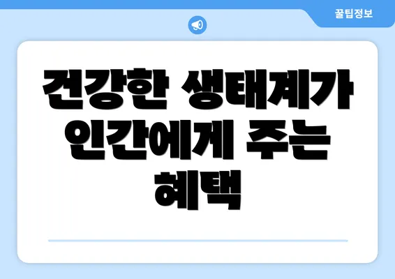 건강한 생태계가 인간에게 주는 혜택