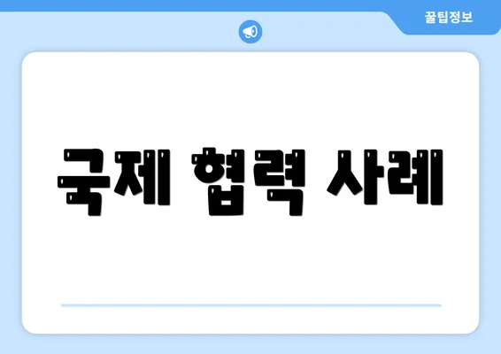 국제 협력 사례