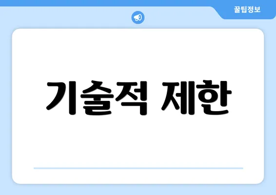 기술적 제한