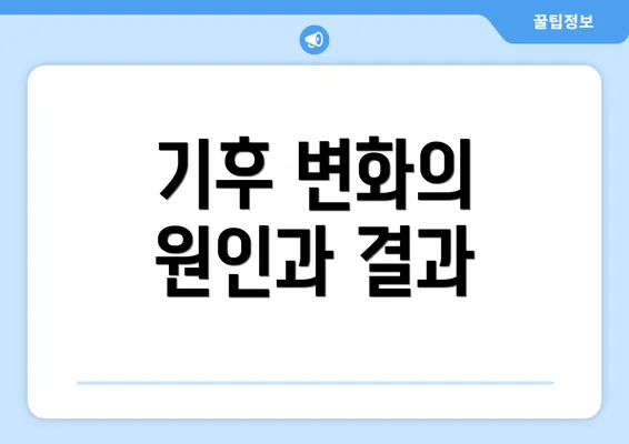 기후 변화의 원인과 결과
