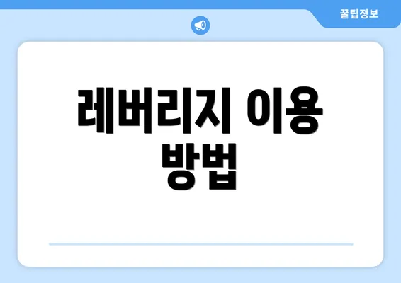 레버리지 이용 방법