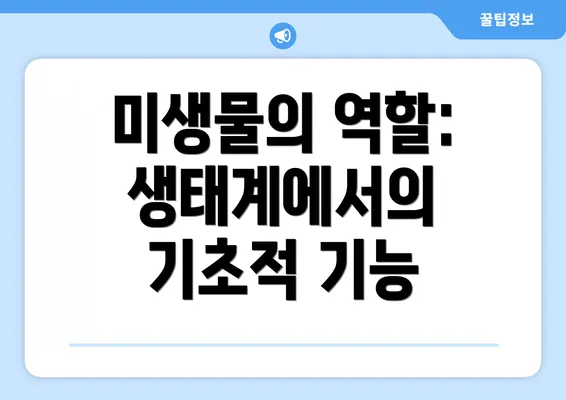 미생물의 역할: 생태계에서의 기초적 기능