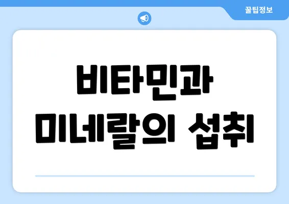 비타민과 미네랄의 섭취