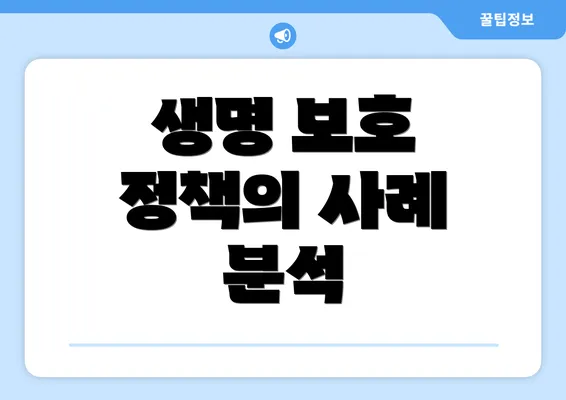 생명 보호 정책의 사례 분석