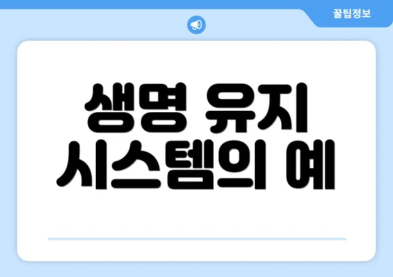 생명 유지 시스템의 예