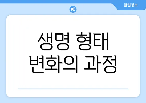 생명 형태 변화의 과정