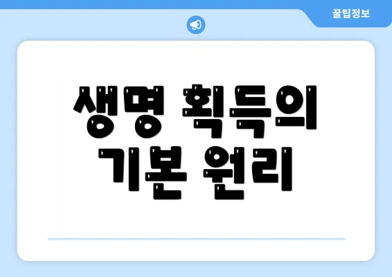 생명 획득의 기본 원리