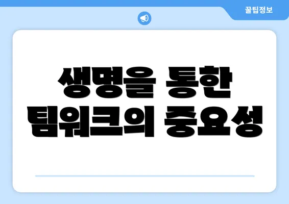 생명을 통한 팀워크의 중요성