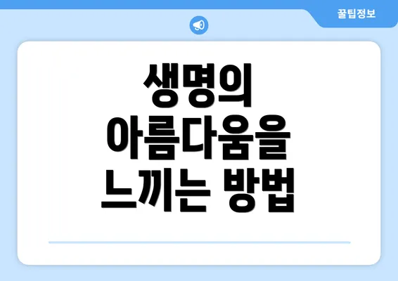 생명의 아름다움을 느끼는 방법