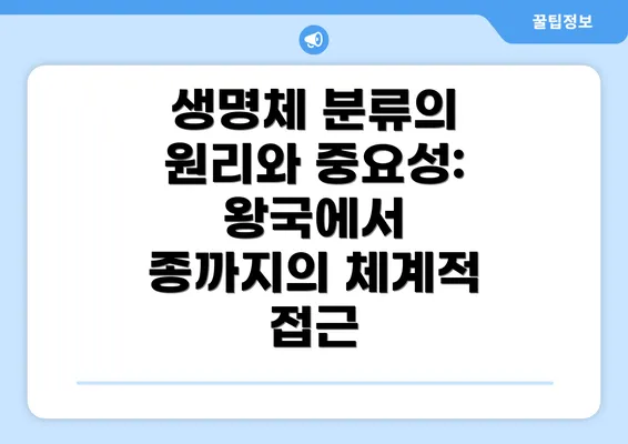생명체 분류의 원리와 중요성: 왕국에서 종까지의 체계적 접근