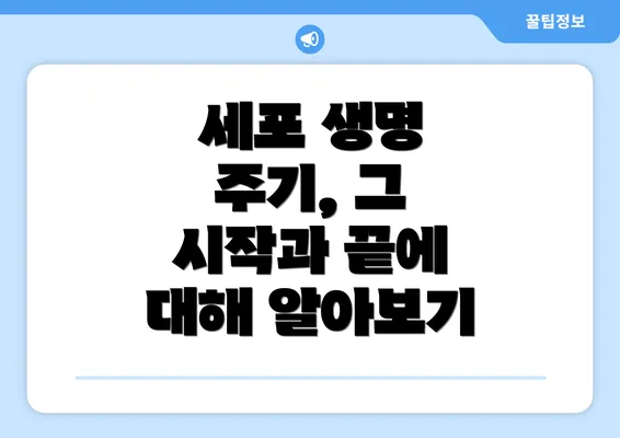 세포 생명 주기, 그 시작과 끝에 대해 알아보기