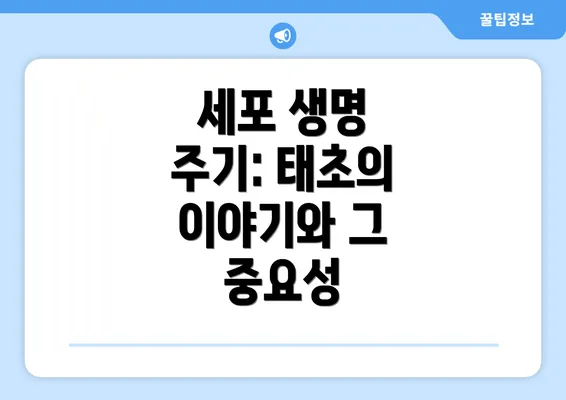 세포 생명 주기: 태초의 이야기와 그 중요성
