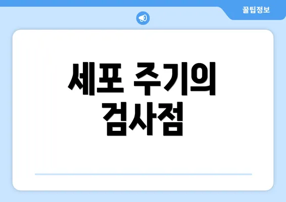 세포 주기의 검사점