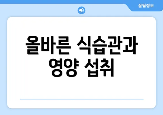 올바른 식습관과 영양 섭취