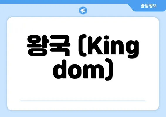 왕국 (Kingdom)