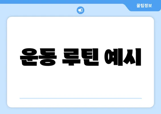 운동 루틴 예시