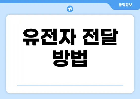 유전자 전달 방법