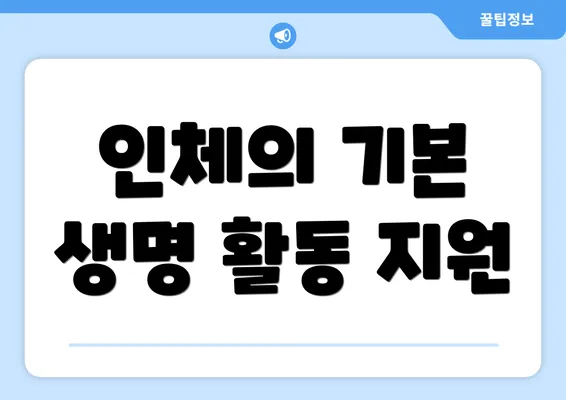 인체의 기본 생명 활동 지원